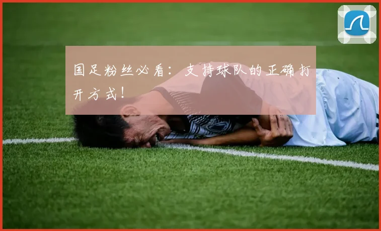 国足粉丝必看：支持球队的正确打开方式！