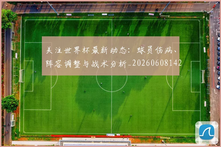 关注世界杯最新动态：球员伤病、阵容调整与战术分析_20260608142618